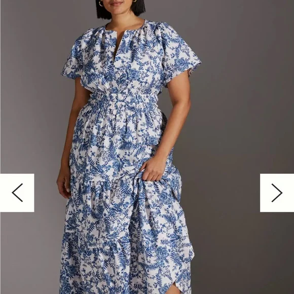 Anthropologie Blue and White Flutter Sleeve Sundress - Picture 6 of 6